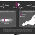 infographic for salad and smoothie shop